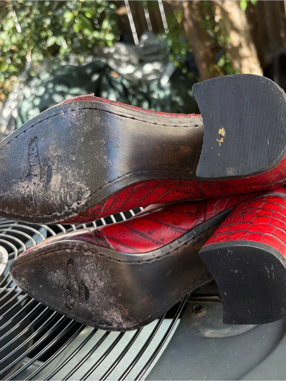 freebird croc embossed